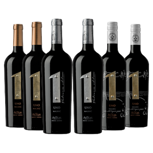 MIX SELECCIÓN MALBEC